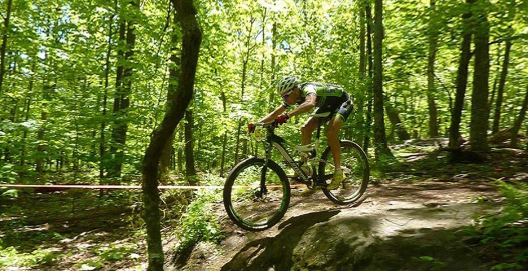 Wintergreen Mount Torry Furnace Экстерьер фото